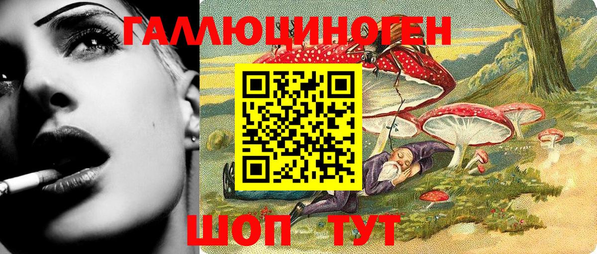 Псилоцибиновые грибы Cubensis  Вход с VPN  купить закладку  Галлюциногенные грибы Cubensis  Ачхой-Мартан 