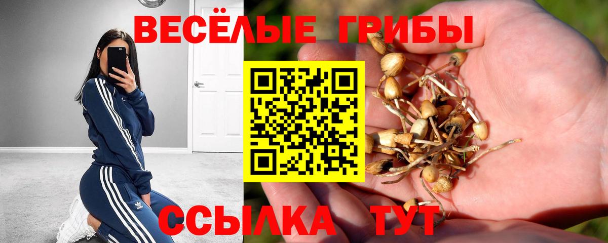 Галлюциногенные грибы Cubensis Ачхой-Мартан